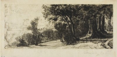 Brzy ráno, Richmond Park od Francis Seymour Haden