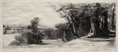 Brzy ráno, Richmond Park. od Francis Seymour Haden
