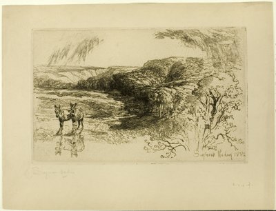 Encombe Woods, č. II od Francis Seymour Haden
