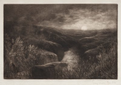 Haunt of the Mosquito od Francis Seymour Haden