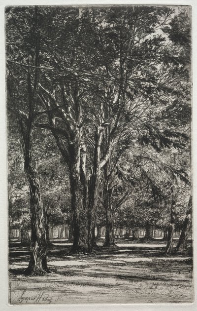 Kensingtonské zahrady (The Large Plate) od Francis Seymour Haden