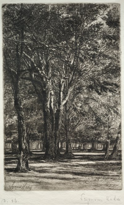 Kensingtonské zahrady (Větší talíř) od Francis Seymour Haden