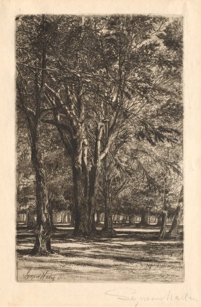 Kensington Gardens, č. 2 (velký talíř) od Francis Seymour Haden