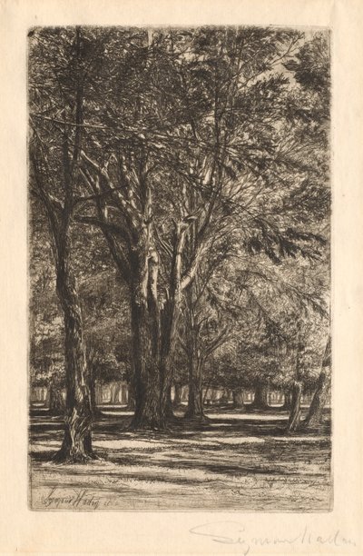 Kensington Gardens, No. 2 Large Plate, 1860. od Francis Seymour Haden