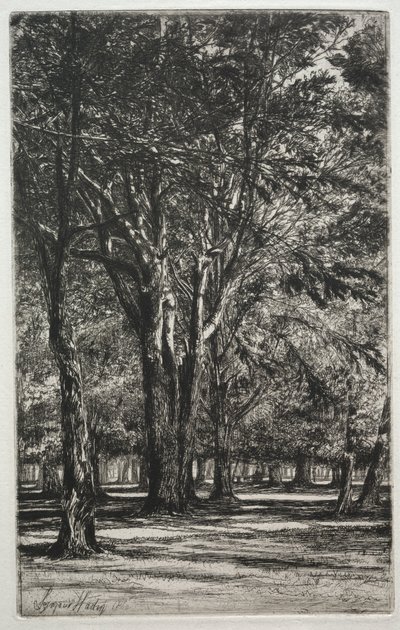 Kensington Gardens The Large Plate, 1860. od Francis Seymour Haden