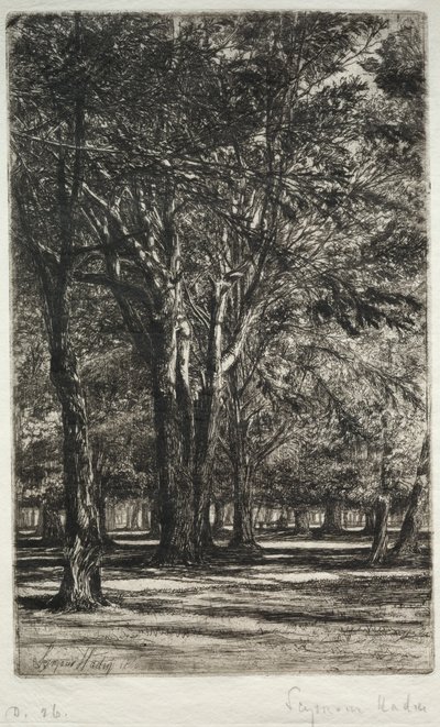 Kensington Gardens The Larger Plate, 1860. od Francis Seymour Haden