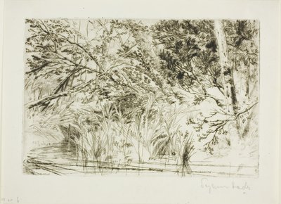 Ústa potoka, č. II od Francis Seymour Haden