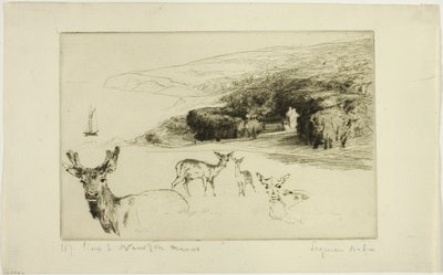 Newton Manor od Francis Seymour Haden