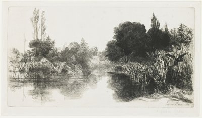 Shere Mill Pond (The Larger Plate), 1860 od Francis Seymour Haden