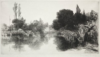 Shere Mill Pond, č. 11 (The Large Plate) od Francis Seymour Haden