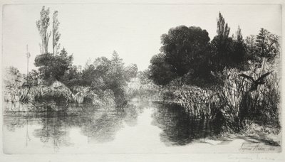 Shere Mill Pond, č. 11 The Large Plate, 1860 a později. od Francis Seymour Haden