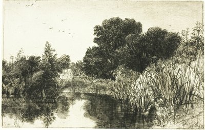 Shere Mill Pond, č. II (velká deska) od Francis Seymour Haden