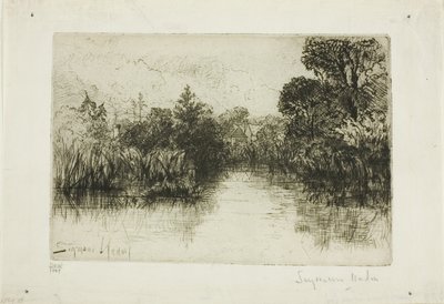 Shere Mill Pond, No. I (malý talíř) od Francis Seymour Haden