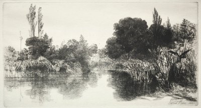 Shere Mill Pond The Larger Plate, 1860. od Francis Seymour Haden