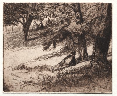 Pod střechou od Francis Seymour Haden