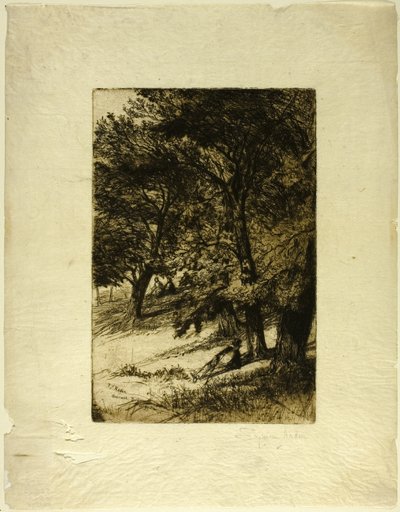 Pod střechou... od Francis Seymour Haden