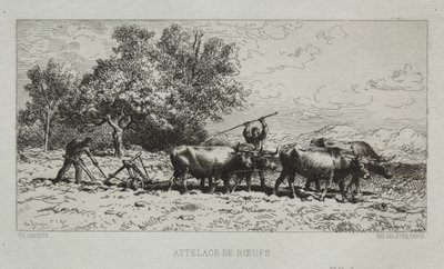 Tým Oxen od Francis Seymour Haden