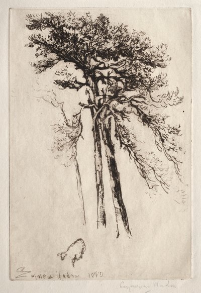 Nejnovější strom od Francis Seymour Haden