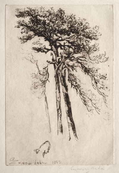 Nejnovější strom, 1882. od Francis Seymour Haden