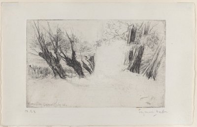 Procházka milenců, č. I, 1864., 1864. od Francis Seymour Haden