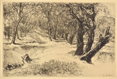 Tři sestry od Francis Seymour Haden
