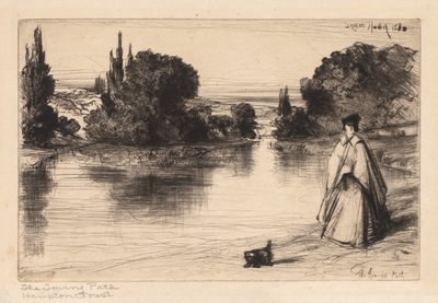 Tažná cesta od Francis Seymour Haden