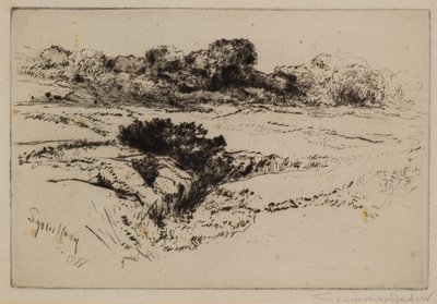 Větrný kopec č.2 od Francis Seymour Haden