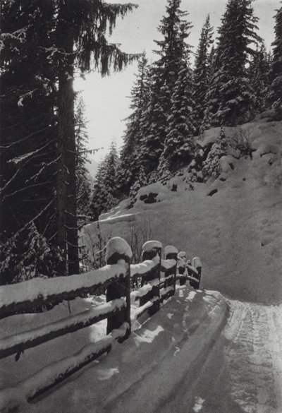 Alpy: Zimní ráno, poblíž St Anton (č/b foto) od Francis Sydney Smythe