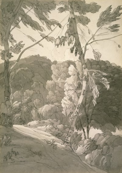 No.1091 A Wooded Landscape (Scene at Indinowle) 1783 (tužka, pero a inkoust s lazurou na papíře) od Francis Towne