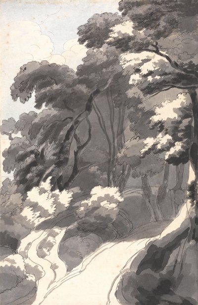 Kaštanový háj, nedaleko Rocca del Papa u jezera Albano od Francis Towne