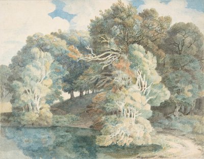 Stromy u jezera, Peamore Park, poblíž Exeter, Devon, 1790-1810. od Francis Towne