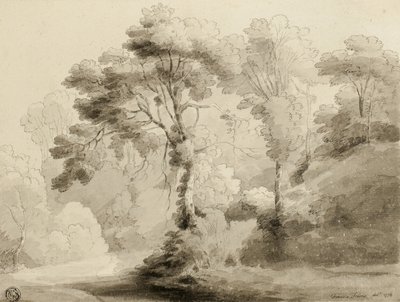 Zalesněná krajina, 1774 od Francis Towne