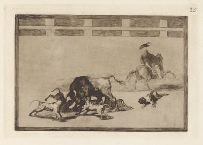 Echan perros al toro (Oni vypouštějí psy na býka), deska 25 z La tauromaquia od Francisco de Goya