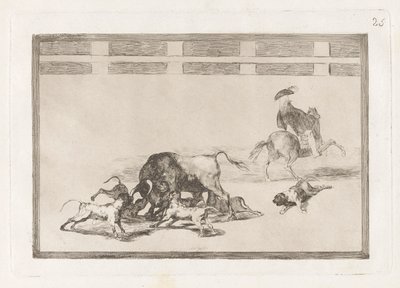 Echan perros al toro (Oni pouštějí psy na býka), deska 25 z La tauromaquia od Francisco de Goya
