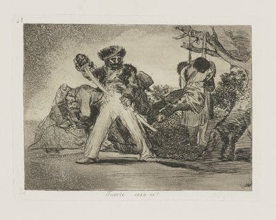 Silná věc je! (Že od Francisco de Goya