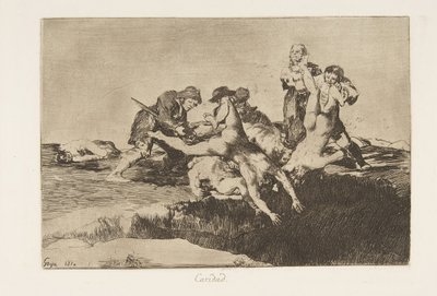 Talíř 27 z The Disasters of War Los Desastres de la Guerra: Char..., 1810 publikovaný v roce 1863. od Francisco de Goya