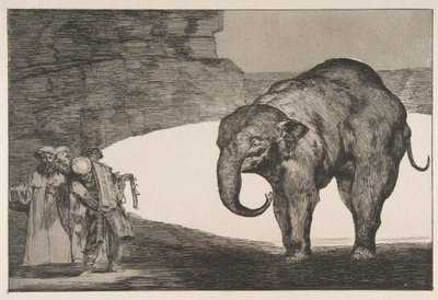 Deska C od nesourodých: Animal Folly, ca. 1816-23 publikované před rokem 1877. od Francisco de Goya