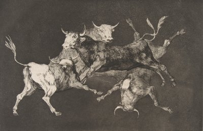 Deska D od Nesourodých: Blázni-nebo malí býci - pro..., ca. 1816-23 publikované před rokem 1877. od Francisco de Goya