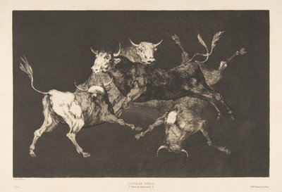 Deska D od Nesourodých: Blázni-nebo malí býci - pošetilost, ca. 1816-23 publikováno 1877. od Francisco de Goya