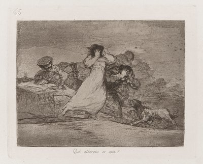 Co? je to vzpoura? (What Is This Hubbub?), Deska 65 z The Disasters of War od Francisco de Goya