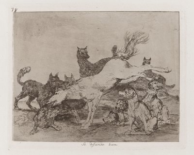 Dobře se brání, deska 78 z The Disasters of War od Francisco de Goya