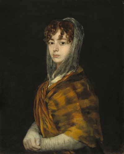 Lady Sabasa Garcia, c. 18061811. od Francisco de Goya
