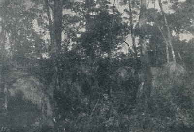 Indiánské kajuty, 1895 od Francisco Henszler