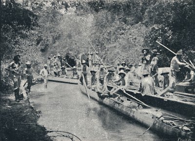 Průzkum Ro de Sto. Anastacio, 1895 od Francisco Henszler
