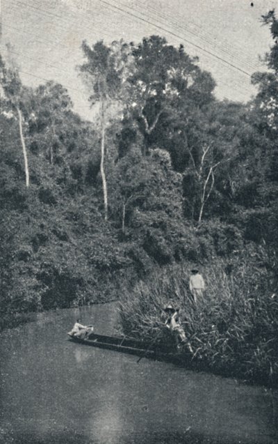 Řeka S. Anastacio, 1895 od Francisco Henszler