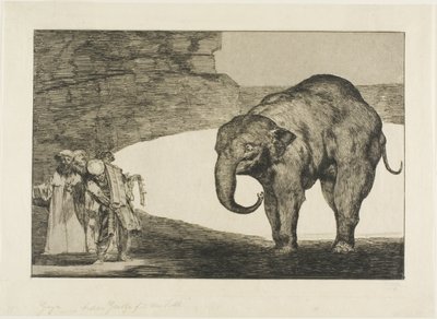 Animal Folly, od Nesourodých od Francisco Jose de Goya y Lucientes