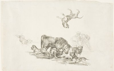 Býk napadený psy od Francisco Jose de Goya y Lucientes