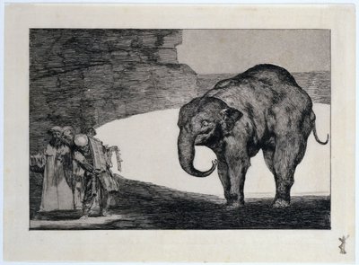 Úplná blbost, au: Další přísloví: Další zákony od lidu od Francisco Jose de Goya y Lucientes