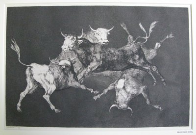 Bláznovo bláznovství od Francisco Jose de Goya y Lucientes