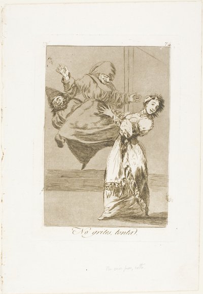 Nekřič, hlupáku, talíř 74 od Los Caprichos od Francisco Jose de Goya y Lucientes